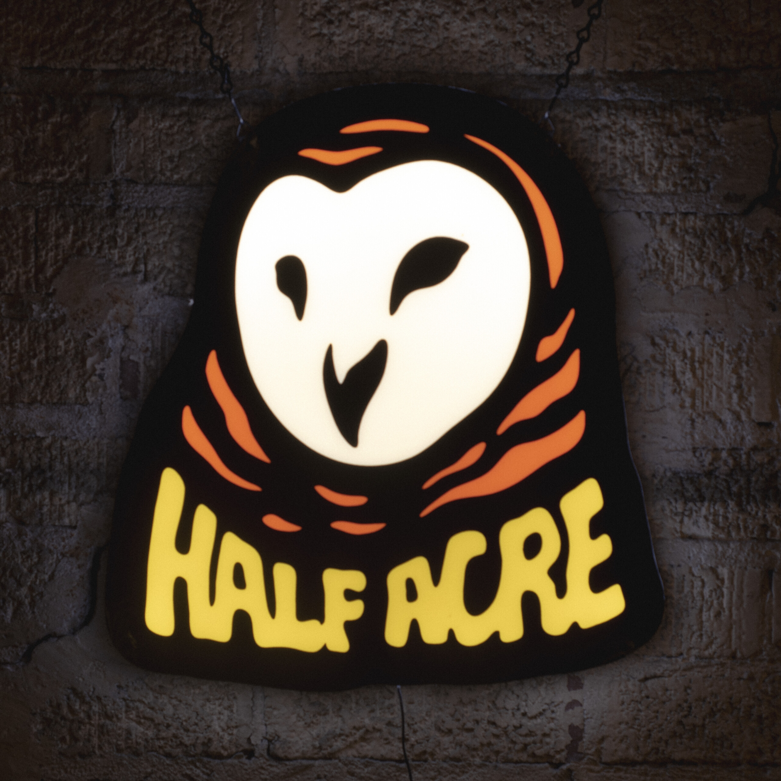 Owl Logo LED Sign